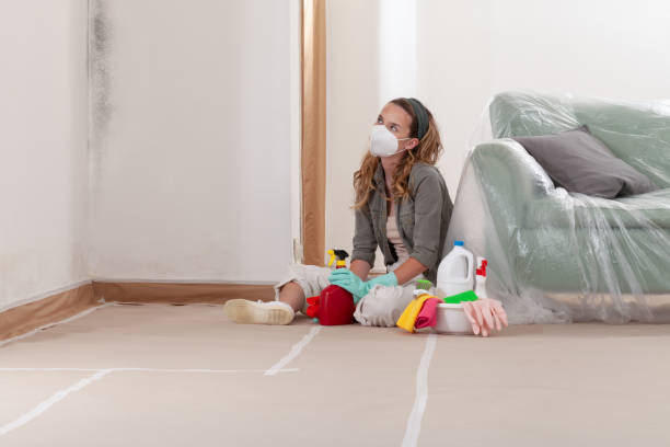 Reliable Black Mold Removal contractor in Honey Grove, PA by WQB Mold Removal